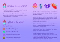 /album/grandes-hechizos-/a004-005-jpg/